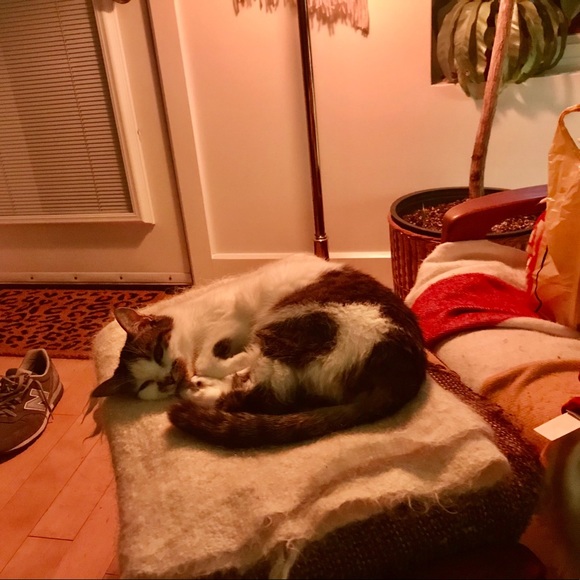 Meet your Posher - Picture 1 of 1